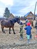 Поездка в Тюлюк