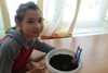 Наш домашний огород
